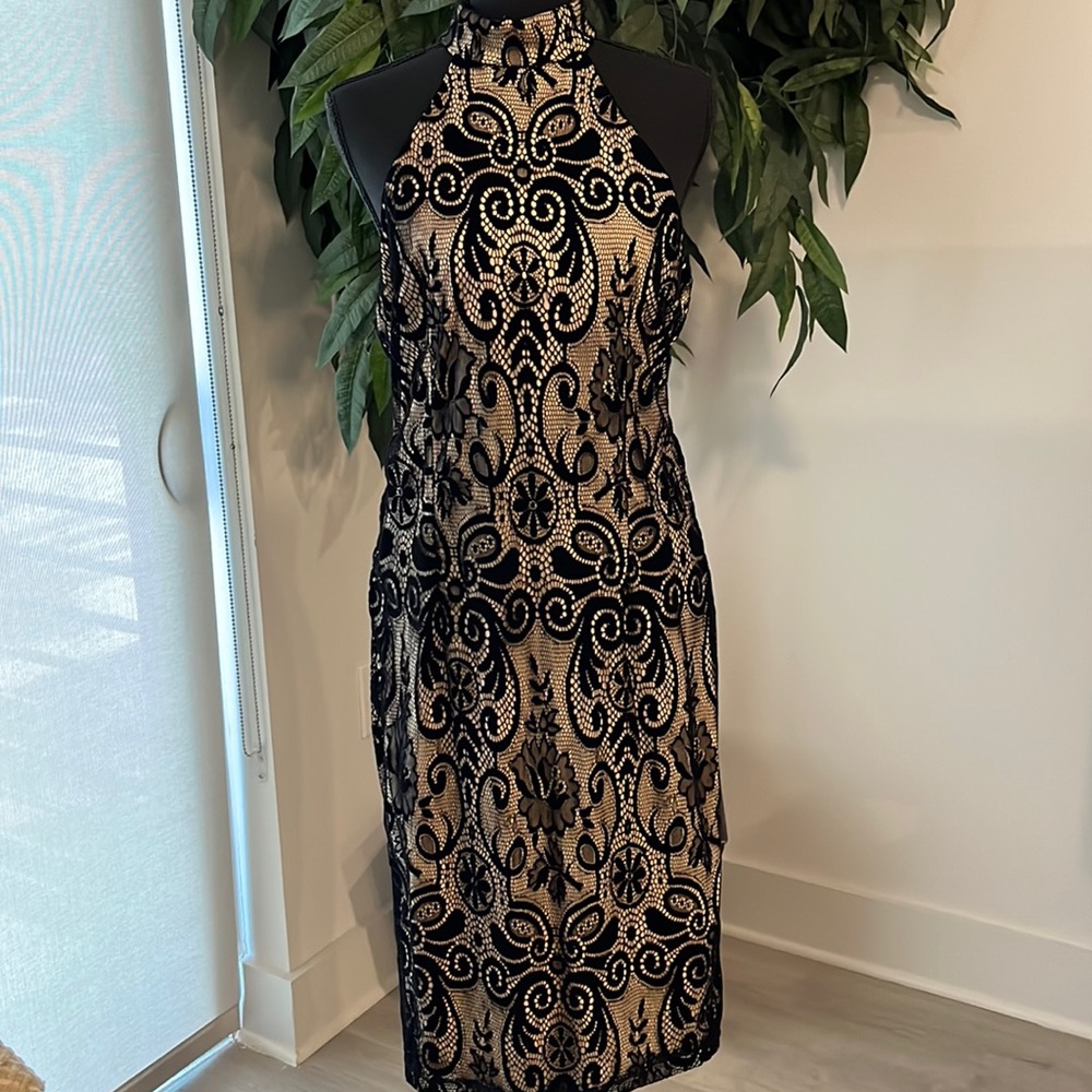 Bisou Bisou Lace Dress